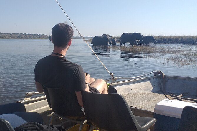 Chobe Botswana Full-Day Trip - Chobe in One Long Day: How the Day Really Feels