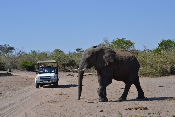 Chobe Day Trip - Morning Pickup and the Kasane Connection