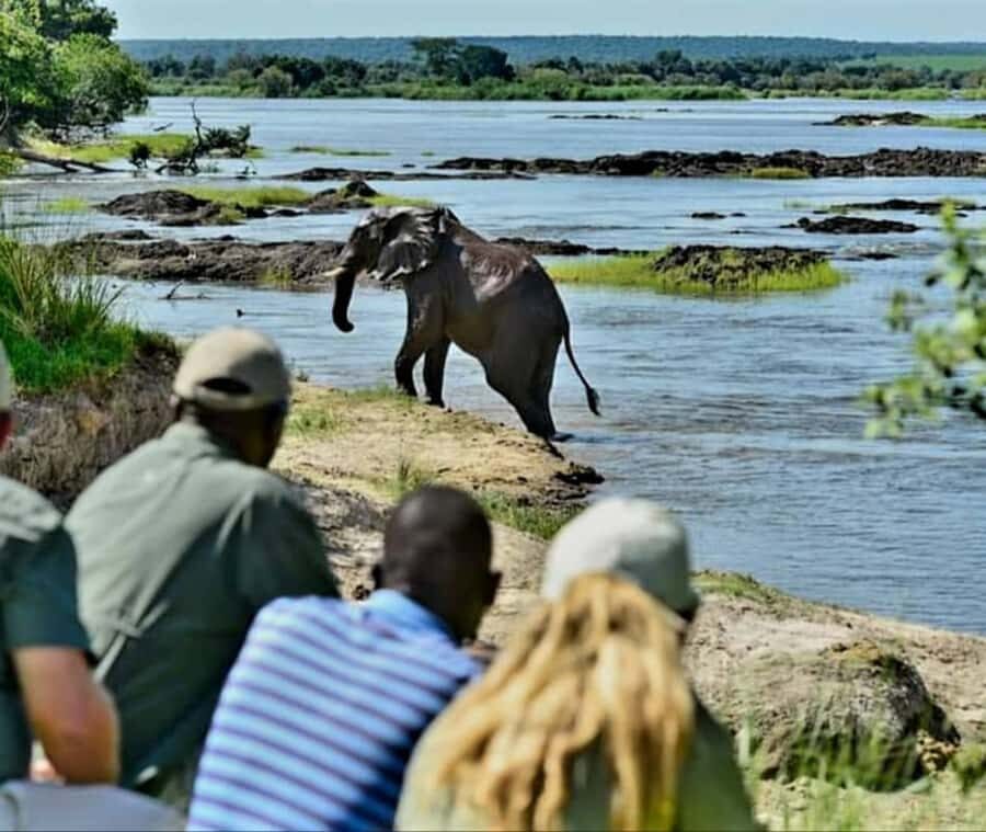 Chobe Day Trip - From Vic Falls - With Lunch (Buffet) - Who this day trip is best for