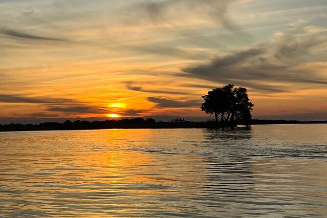 Chobe Day Trip from Victoria Falls - Getting to Chobe: the early start that sets the tone