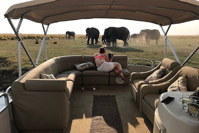 Chobe Day Trip From Victoria Falls Zimbabwe - Who should book this Chobe day trip from Victoria Falls