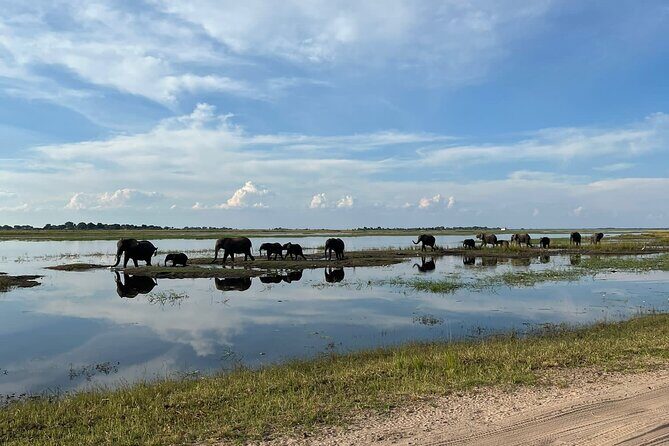 Chobe Day Trip from Victoria Falls - The Chobe boat cruise: close wildlife viewing from the water