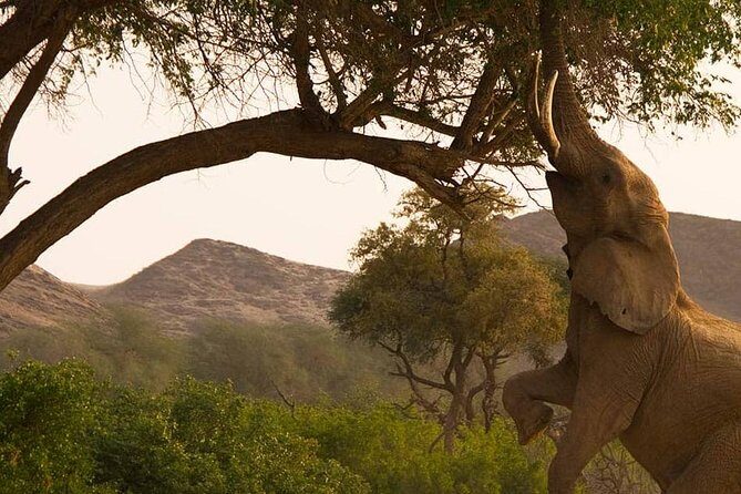Chobe Day Trip Starting From Victoria Falls - Chobe National Park wildlife: what you can realistically expect