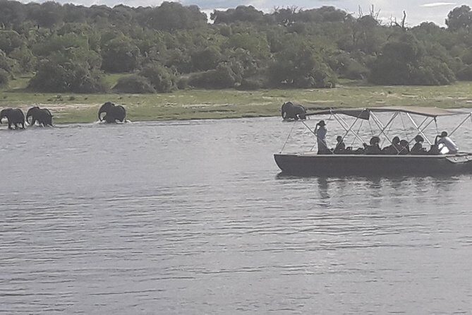 Chobe Day Trip Starting From Victoria Falls - Price and value: what $190 per person is really buying