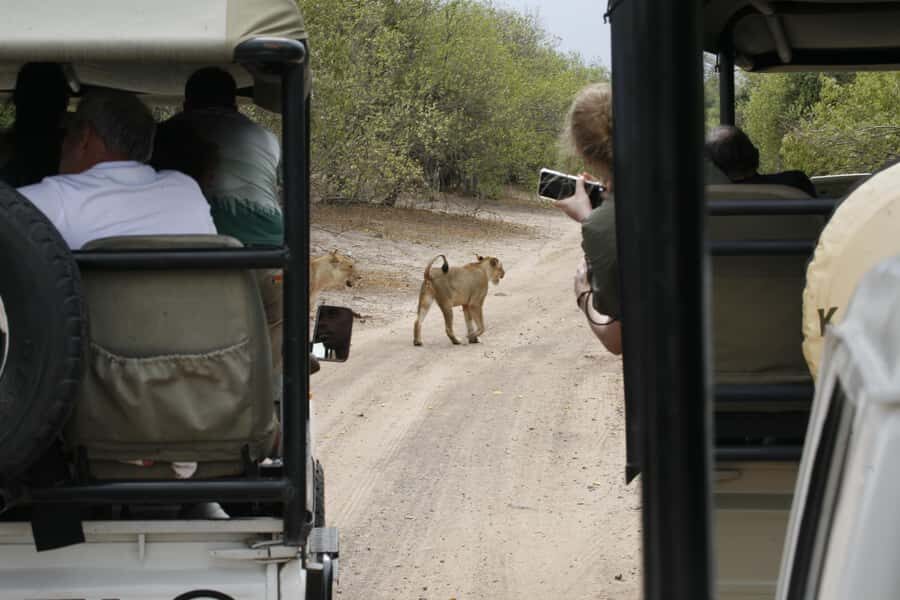 Chobe Extended Day Trip - Key highlights I’d plan around