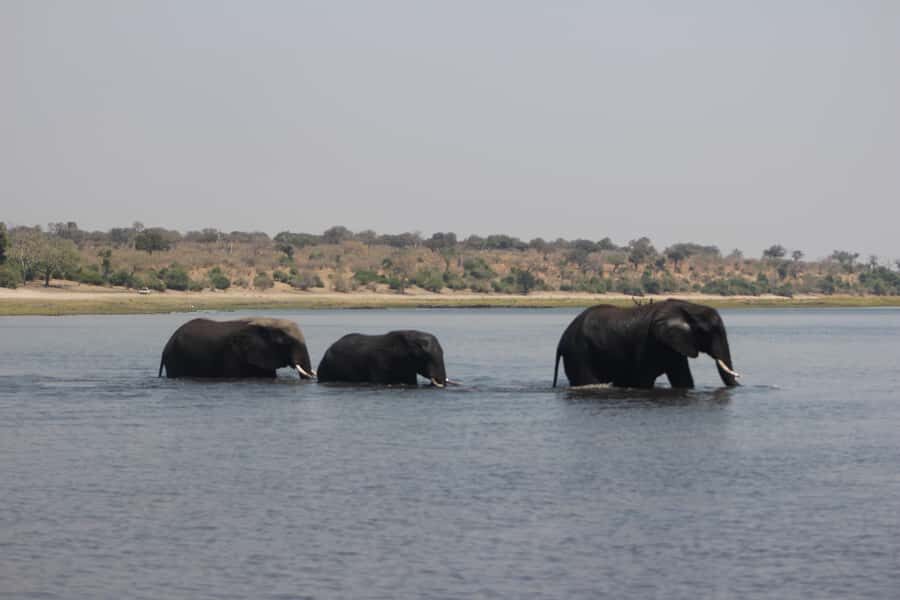 Chobe Extended Day Trip - Lunch at Chobe Safari Lodge: fuel, then a breather