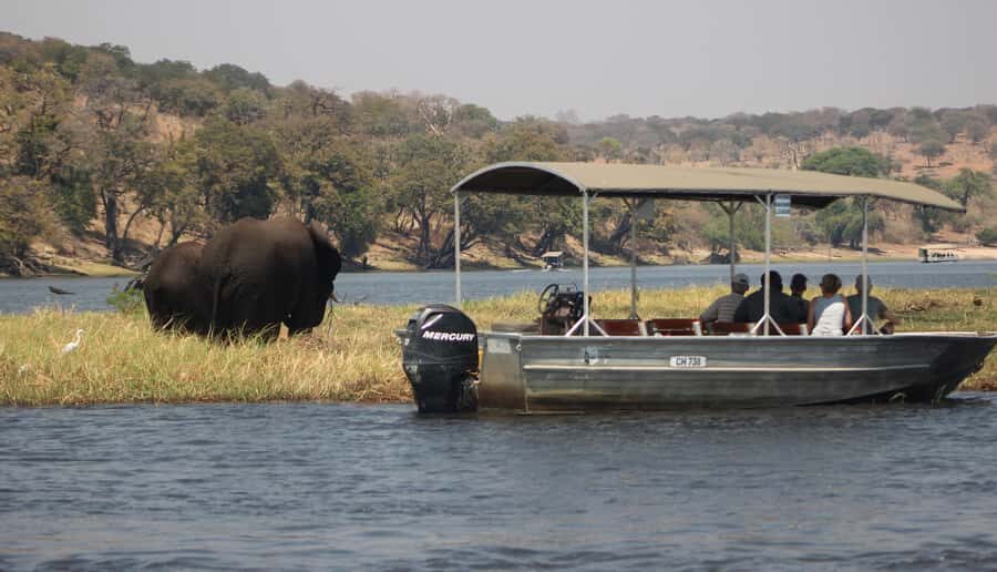 Chobe Extended Day Trip - Chobe River cruise: the 3-hour part you’ll remember