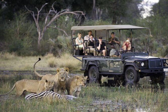 Chobe Extended Day Trip from Victoria Falls - Zimbabwe - Key Things I’d Mark on Your Map