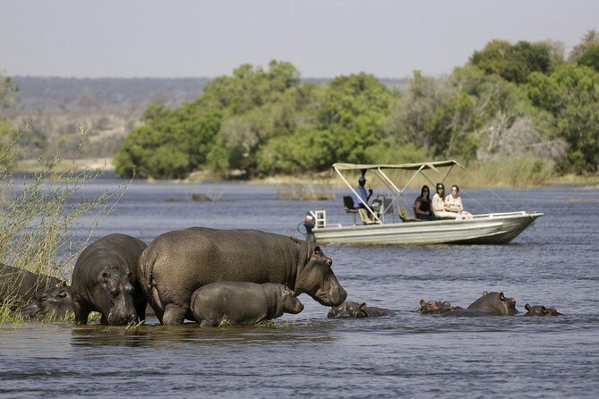 Chobe Extended Day Trip from Victoria Falls - Zimbabwe - The 5 a.m. Start That Makes Chobe Click