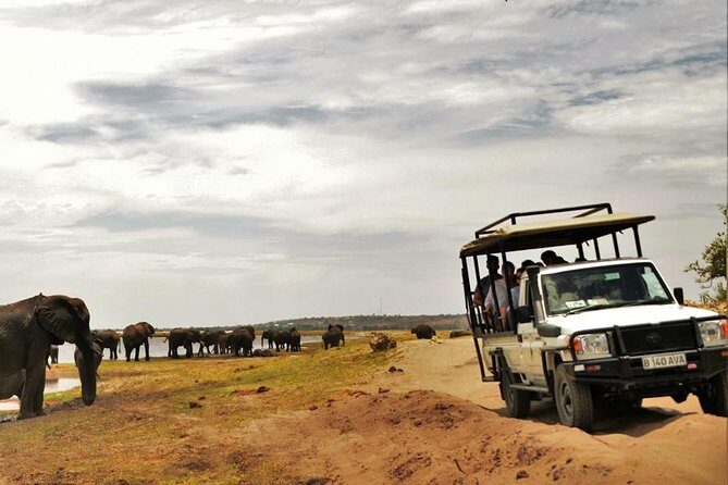 Chobe Extended Day Trip from Victoria Falls - Zimbabwe - Logistics That Can Make or Break Your Day