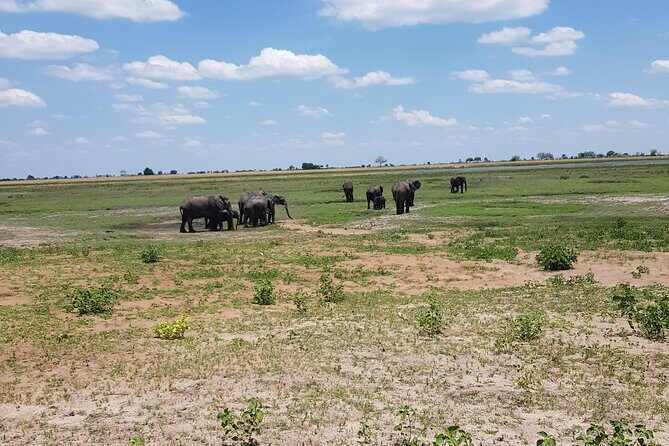 Chobe Full Day Safari in Chobe - Quick highlights before you go