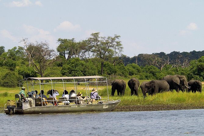 Chobe Full Day Safari Trip - Chobe Full Day Safari Trip: What You’re Actually Getting for $180