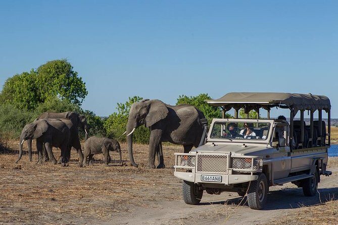 Chobe Full day Safari with Victoria falls Sunrise Tour Combo - Key Highlights to Look For