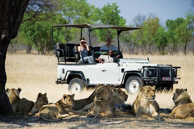 Chobe Full day Safari with Victoria falls Sunrise Tour Combo - A Very Early Start: Victoria Falls Sunrise Plus Chobe in One Day