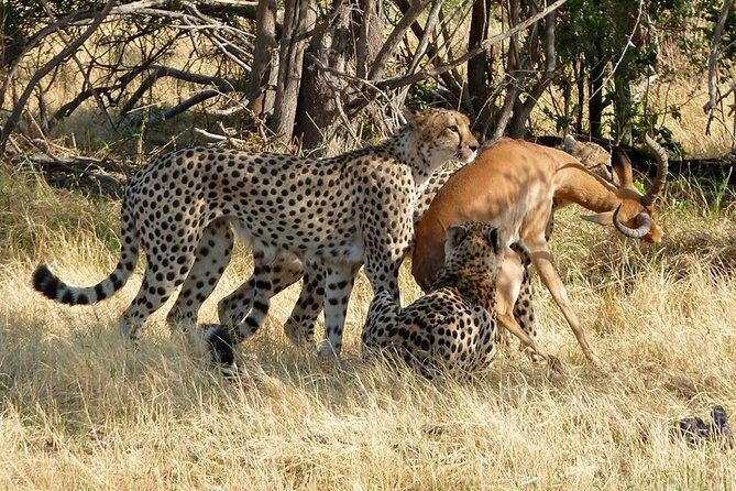 Chobe Full day Safari with Victoria falls Sunrise Tour Combo - Victoria Falls Sunrise: Sixteen Viewpoints With an Early-Morning Guide