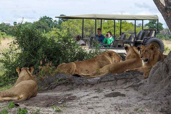 Chobe Full Day Trip From Victoria Falls - Why This Chobe Day Trip From Victoria Falls Works