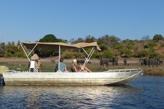 Chobe Full Day Trip From Victoria Falls - Lunch That Keeps the Day From Falling Apart