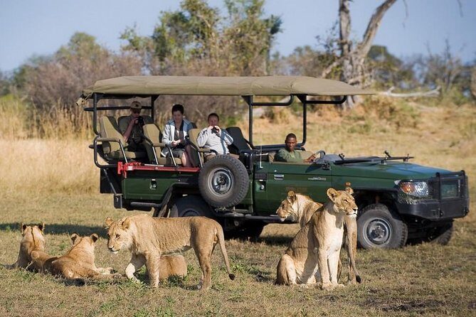 Chobe Full Day Trip From Victoria Falls - Chobe River Boat Cruise: The Wildlife Viewing Shift