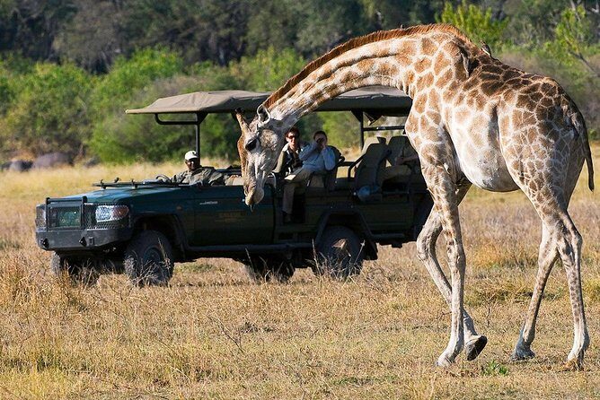 Chobe Full Day Trip From Victoria Falls - Group Size, Shared Transfers, and Comfort Tips
