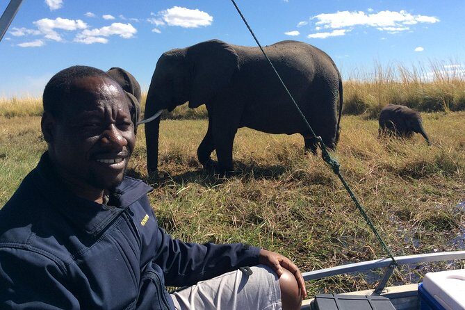 Chobe Full day Trip - The Sedudu Island boat safari: why the river view matters