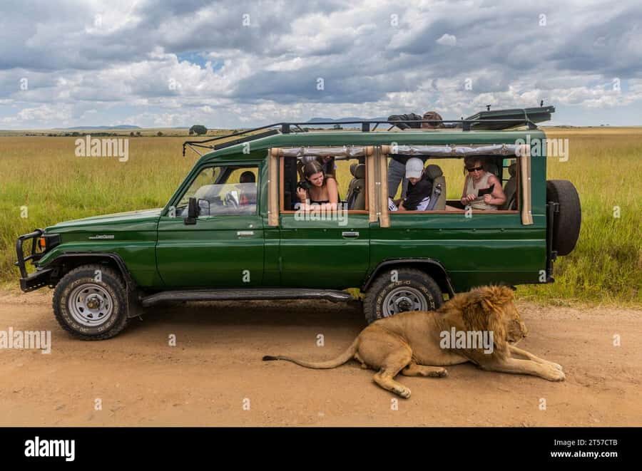 Chobe Half Day Trip from Victoria Falls - Option 1: Morning game drive + lunch in Chobe National Park