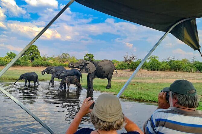 Chobe National Park Day Trip from Victoria Falls with Lunch - Why This Chobe Safari Works as a Day Trip From Victoria Falls