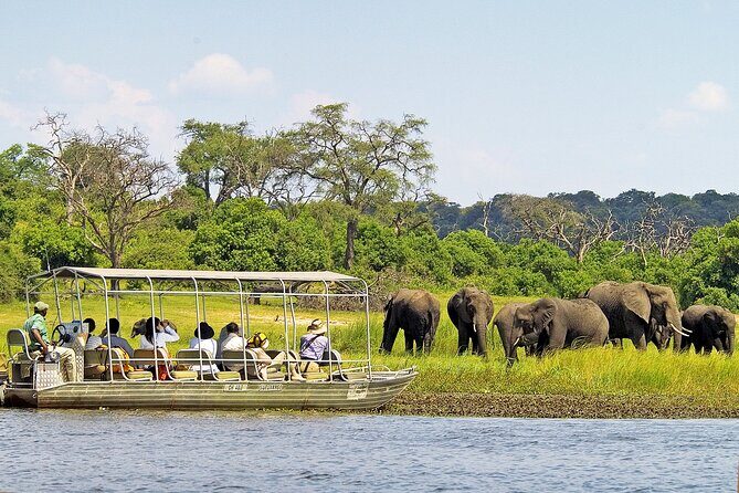 Chobe National Park Day Trip from Victoria Falls with Lunch - What to Pack for a Hot, Photo-Focused Safari Day
