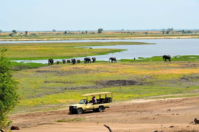 Chobe National Park Day Trip from Victoria Falls with Lunch - Chobe River Boat Cruise: Crocs, Hippos, Birds, and Great Photo Light