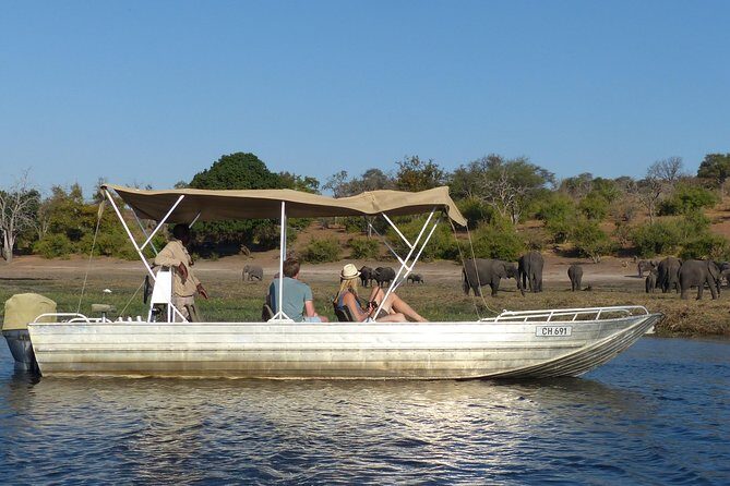 Chobe Sunrise upto Sunset Day trip from Victoria Falls 5AM - 7PM - Wildlife expectations: what the odds favor in Chobe