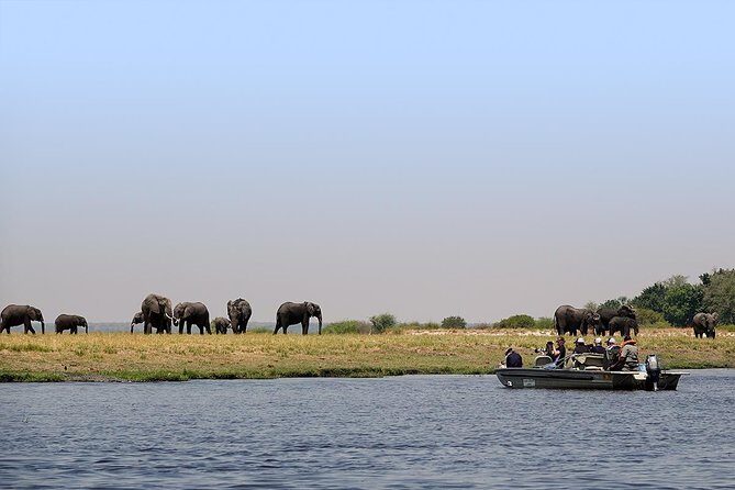 Chobe Sunrise upto Sunset Day trip from Victoria Falls 5AM - 7PM - Group size: why 12 matters on safari days