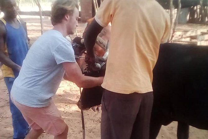 Cultural Village Tour,Interacting With the Communal Villagers (Educational Trip) - The School Visit: When It Works, It’s Powerful