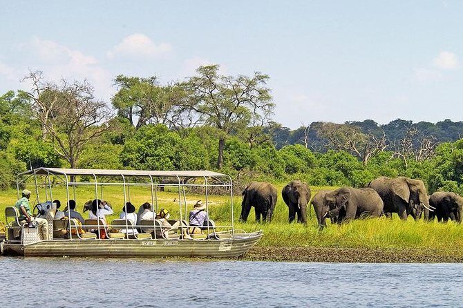 Explore Chobe National Park With a Day Trip from Victoria Falls - Why a Chobe Day Trip From Victoria Falls Makes Sense