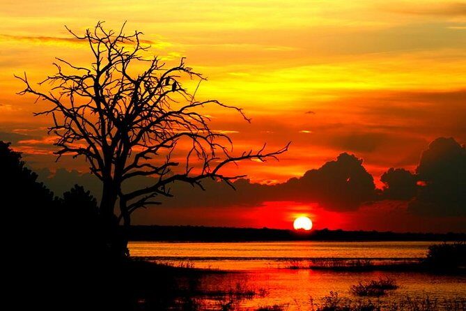 Explore Chobe National Park With a Day Trip from Victoria Falls - Land and Boat Safari: The Smart Part of the Itinerary