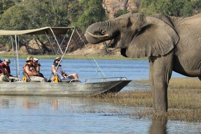 Explore Chobe National Park With a Day Trip from Victoria Falls - Stop 1 on the Chobe River: A 2-Hour Boat Cruise for Hippos, Elephants, and Birds