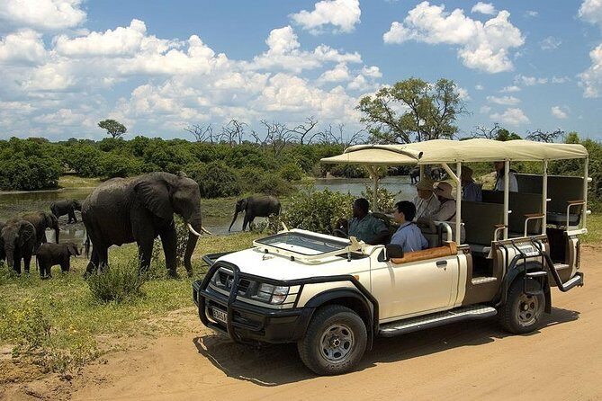 Explore Chobe National Park With a Day Trip from Victoria Falls - Stop 2 in Chobe: The Afternoon Game Drive (3 Hours) and How to Make It Count