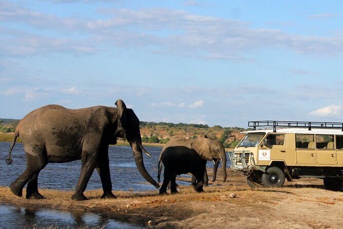 Explore Chobe National Park With a Day Trip from Victoria Falls - What’s Included (and Why It Matters for Your Budget)
