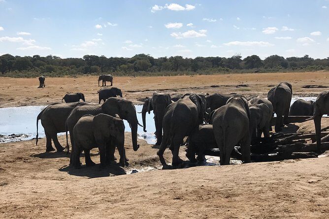 Five-Day Hwange NP, Chobe NP and Victoria Falls Combo - Key points that make this combo worth it