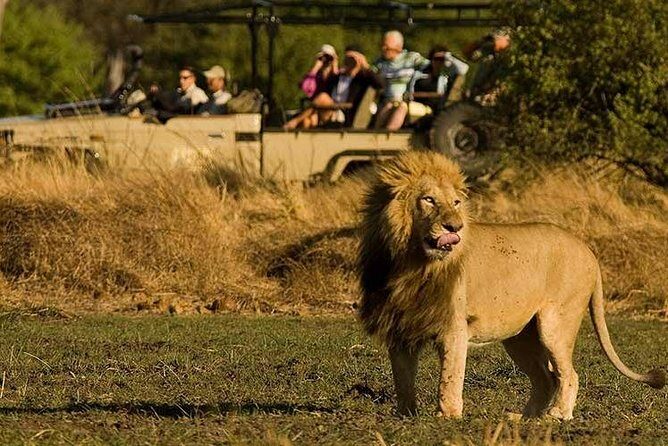Five-Day Hwange NP, Chobe NP and Victoria Falls Combo - Hwange game drives that start on the lodge side