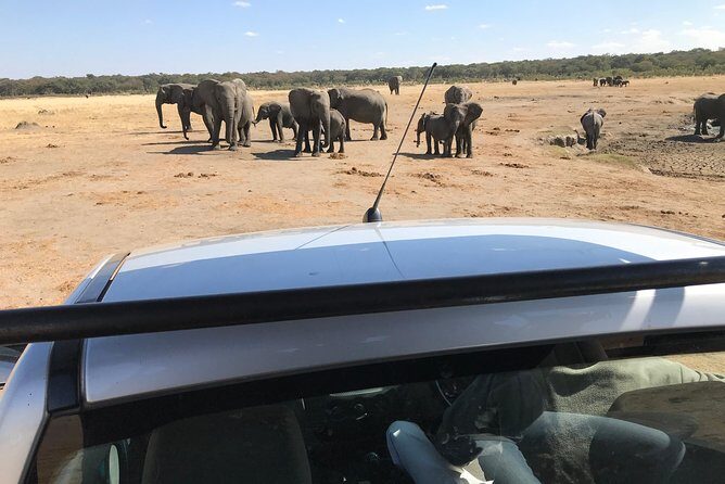 Five-Day Hwange NP, Chobe NP and Victoria Falls Combo - The service details that made it feel smooth (and why that matters)