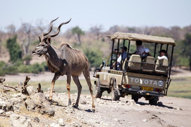 Five-Day Hwange NP, Chobe NP and Victoria Falls Combo - Who this tour fits best