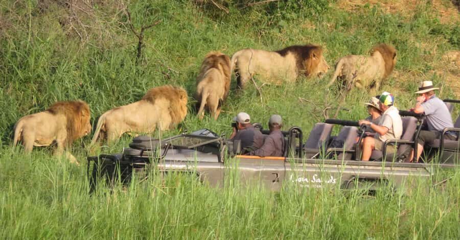 From Kasane: Chobe National Park Full Day Wildlife Safari - Why Chobe’s river cruise plus 4x4 game drive is such smart value