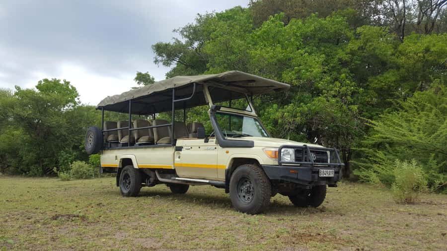 From Kasane: Chobe National Park Full Day Wildlife Safari - Should you book this Chobe National Park full-day safari from Kasane?