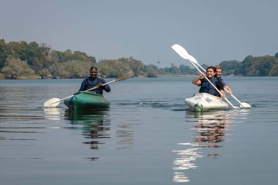 From Livingstone: Full or Half Day Canoe Safari - Quick hits: what makes this canoe safari special