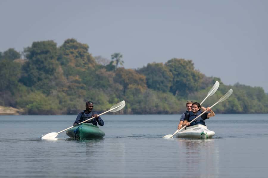 From Livingstone: Full or Half Day Canoe Safari - Canoeing the Zambezi: what 4–5 hours feels like in real life