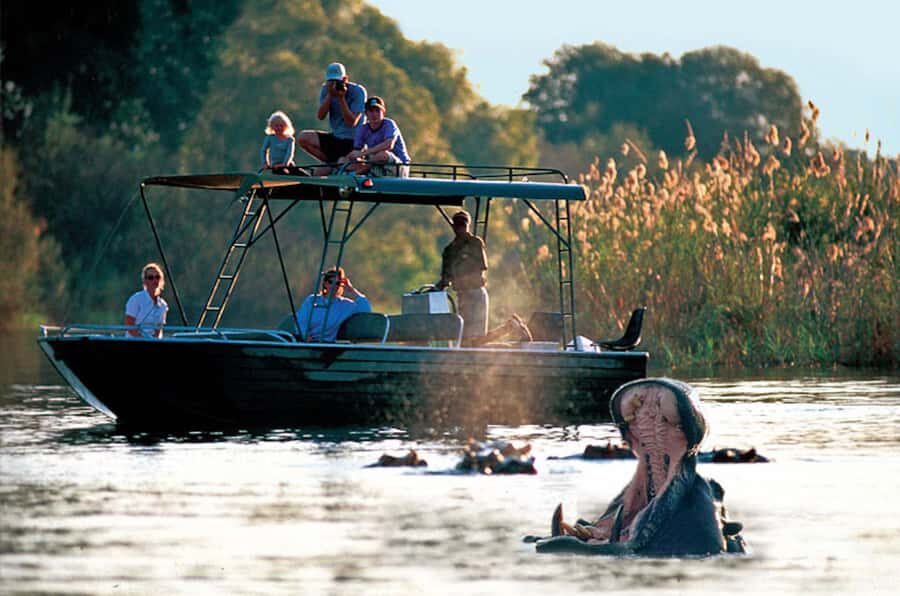 From Livingstone: Victoria Falls River Safari - Key highlights I’d prioritize