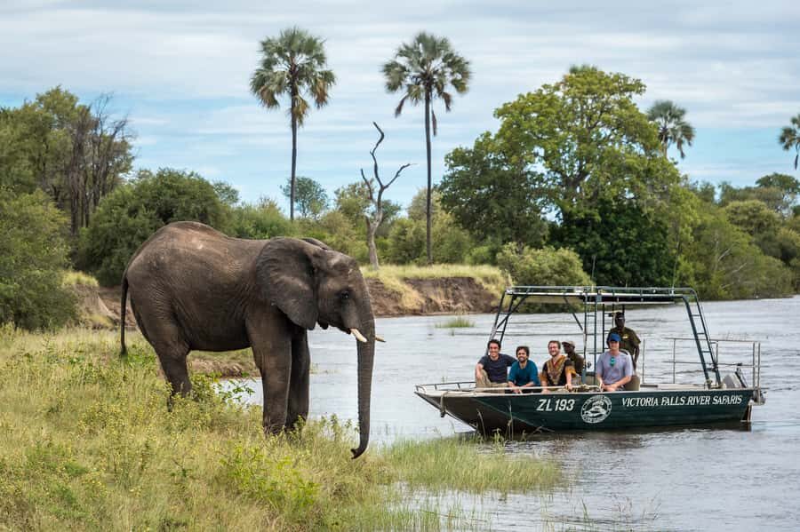 From Livingstone: Victoria Falls River Safari - Food, Drinks, and That Island- Picnic Feeling
