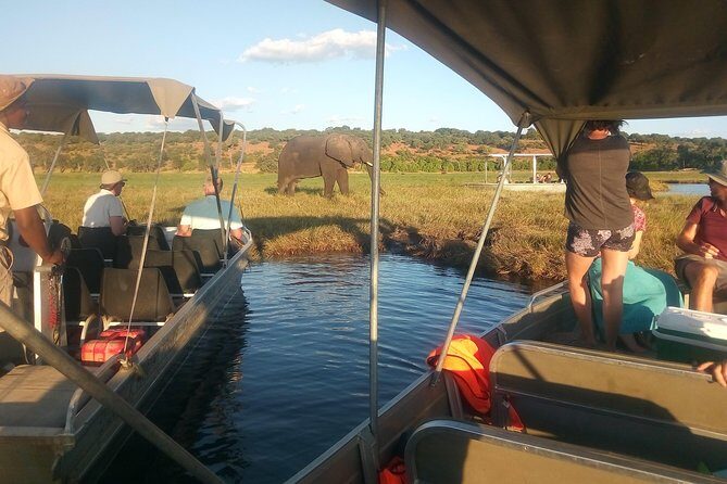 From Victoria Falls: Chobe National Park Small Group Tour - The guides: why the human element boosts your sightings