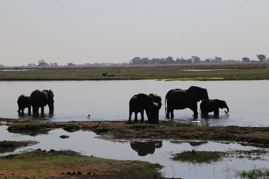 From Victoria Falls: Chobe National Park Small Group Tour - Packing rules: what you can bring (and what you can’t)