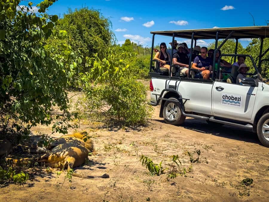 From Victoria Falls: Full Chobe Day trip to Chobe, Botswana - What You’ll Pay For: $229 Plus a Few Real Extras