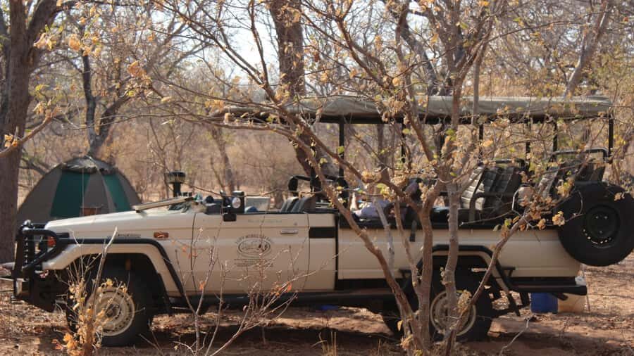 From Victoria Falls: Sunrise to Sunset Chobe Safari - Key highlights you’ll actually feel